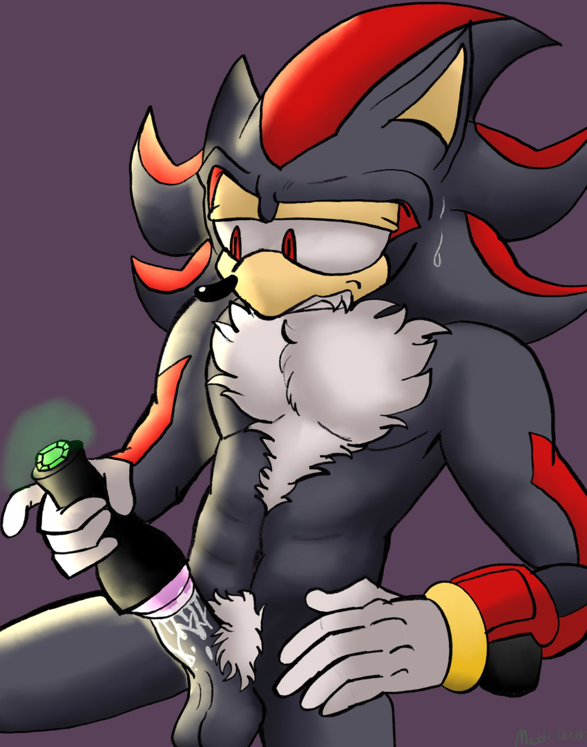 Sonic (Series) Rule 34 Image
