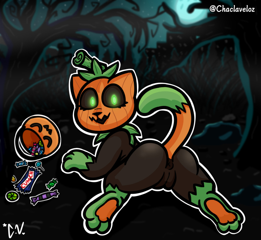 acstlu ass black_body feline halloween pumkat pumpkin pumpkin_head