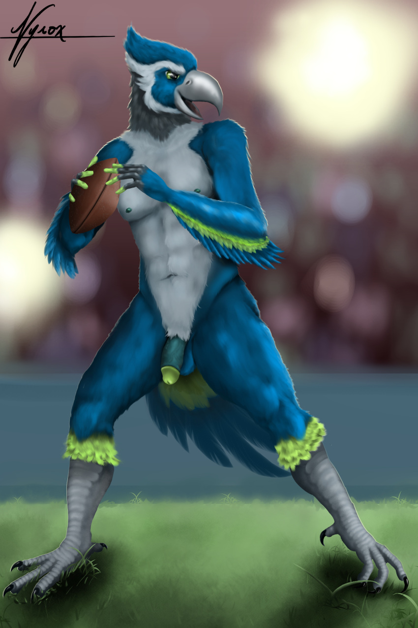 anthro avian beak bird bird_feet blitz blue_body blue_feathers claws feathers flaccid football_(ball) furry genitals grey_feathers humanoid_genitalia hybrid looking_away male nude penis public_nudity seahawk seatle standing tail_feathers