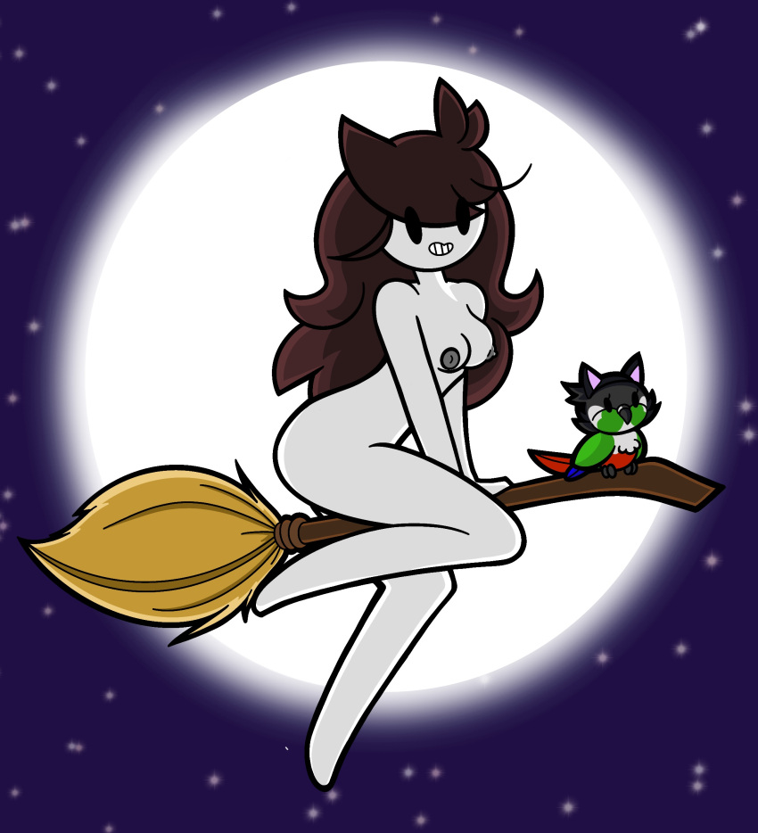 1girls ari_(bird) bird broom drawfriend female happy happy_female horny horny_female jaiden jaiden_animations naked nipples tagme youtube youtuber