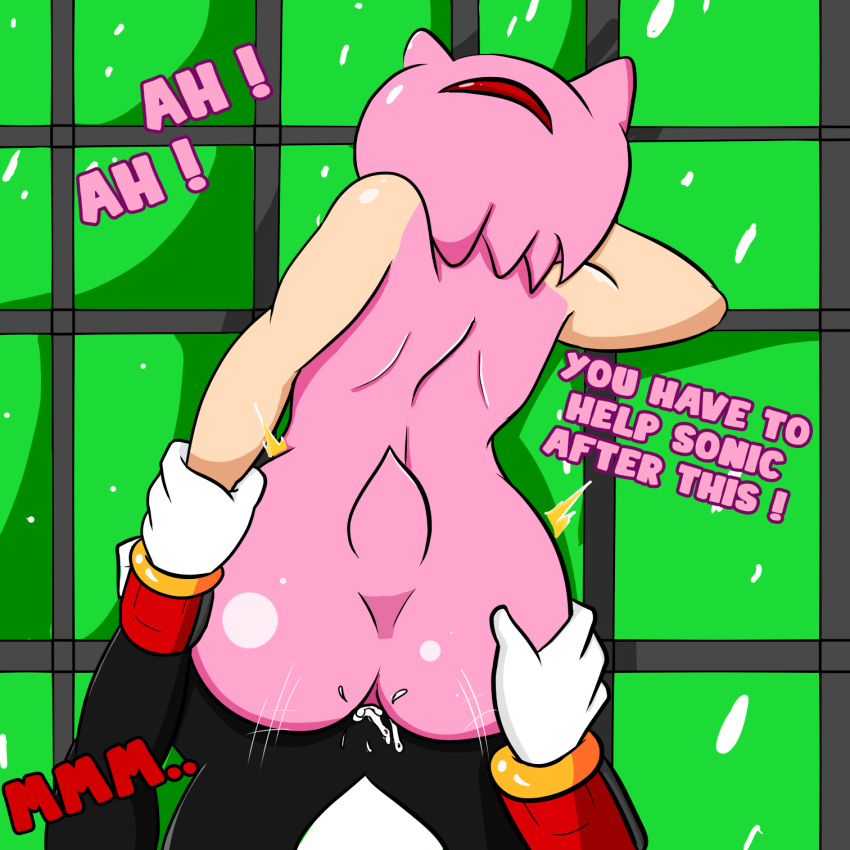 2021 amy_rose black_fur black_hair dialogue gloves hairband hand_on_arm hand_on_ass male/female pink_fur pink_hair sex shadow_the_hedgehog sonic_(series) sonic_the_hedgehog_(series) soulyagami64