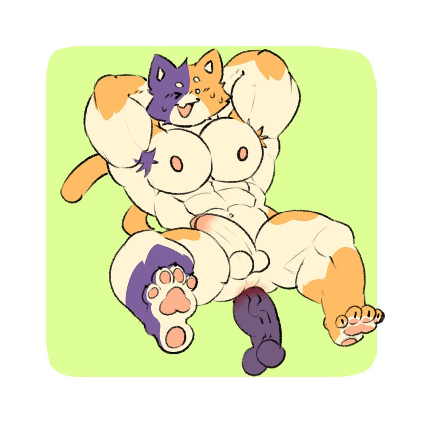 animated animation anus ass bara bara_ass cute daddy dick dildo feet feline fetish furry furry_male gay male meowscles_(fortnite) muscles paws pecs penis soles solo