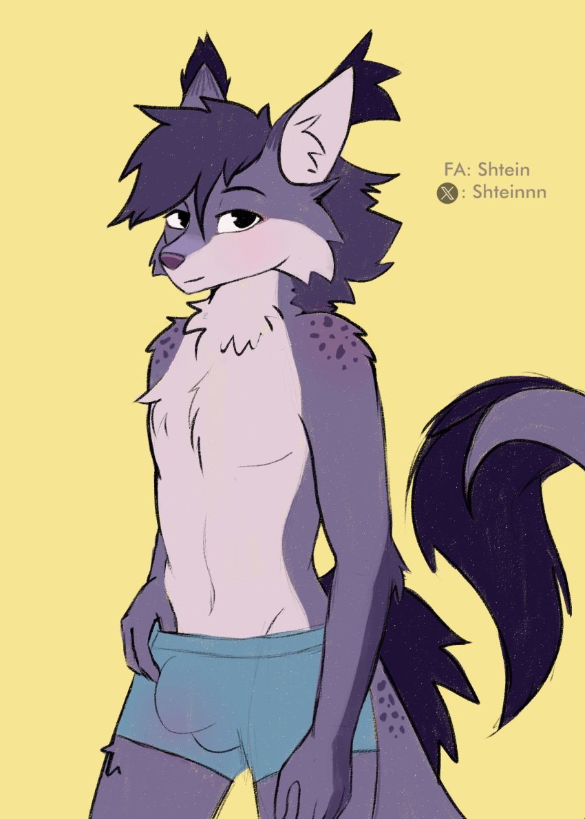 animated anthro canid canine canis clothing dragon flirting genitals hi_res hybrid male male_only mammal mythological_creature mythological_scalie mythology penis scalie shtein shtein_(shtein) smile smiling_at_viewer solo underwear wet wolf