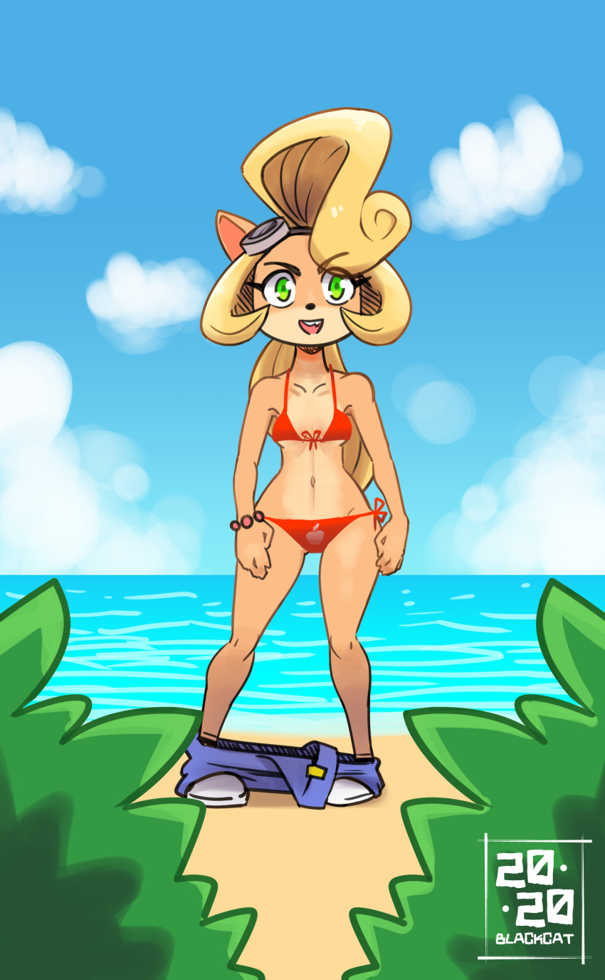 1girls 2020 anthro bikini bikini_bottom bikini_top blackcat bottomwear casual coco_bandicoot crash_(series) eyewear female female_only footwear furry furry_only green_eyes ocean pants_down solo swimwear topwear wristwear