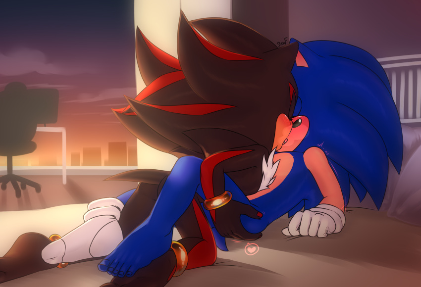 Shadow The Hedgehog (Sega) Rule 34 Image