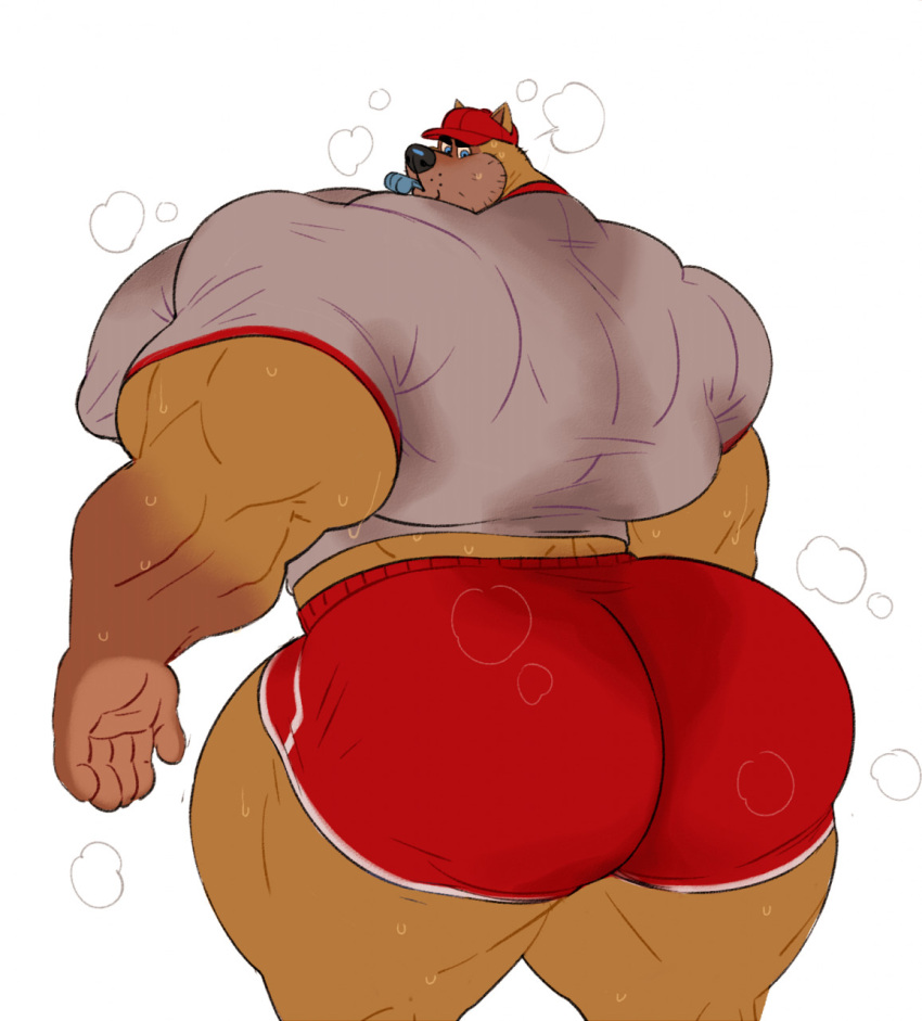 abs ass_focus biceps big_ass bodybuilder fat_ass furry furry_only hyper hyper_balls hyper_genitalia hyper_muscles hyper_penis hyper_testicles male male_focus male_only muscle muscles muscular muscular_arms muscular_ass muscular_back muscular_legs muscular_male muscular_thighs nipples pecs shoegaze. veins veiny_penis