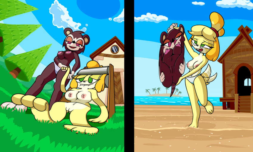 5:3 alternate_breast_size animal_crossing anthro beach bikini bikini_bottom breasts building canid canine canis clothed clothing detailed_background domestic_dog duo eulipotyphlan female flattened genitals grass green_eyes hedgehog house isabelle_(animal_crossing) mammal nintendo nipples noctulov nude on_one_leg outside plant pussy sable_able sand seaside smile standing swimwear topless tree video_games