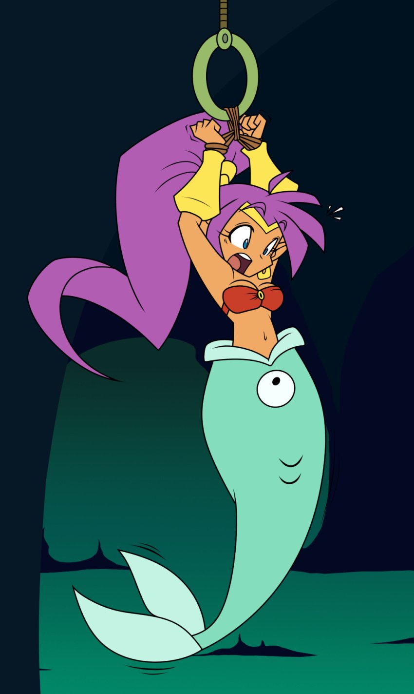 belly_button bikini_top bondage ear_piercing earrings fish fish_tail fishjob half-genie hook_maiden mermaid mermaid_factory midriff navel piercing png rope_bondage shantae shantae_(character) smooth_skin spiderweber suspended