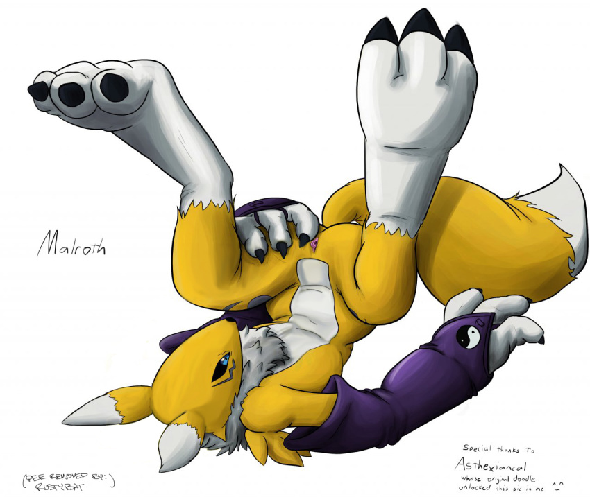 anthro barefoot color digimon female female_only fur furry malroth nude renamon solo tagme upside-down vulva