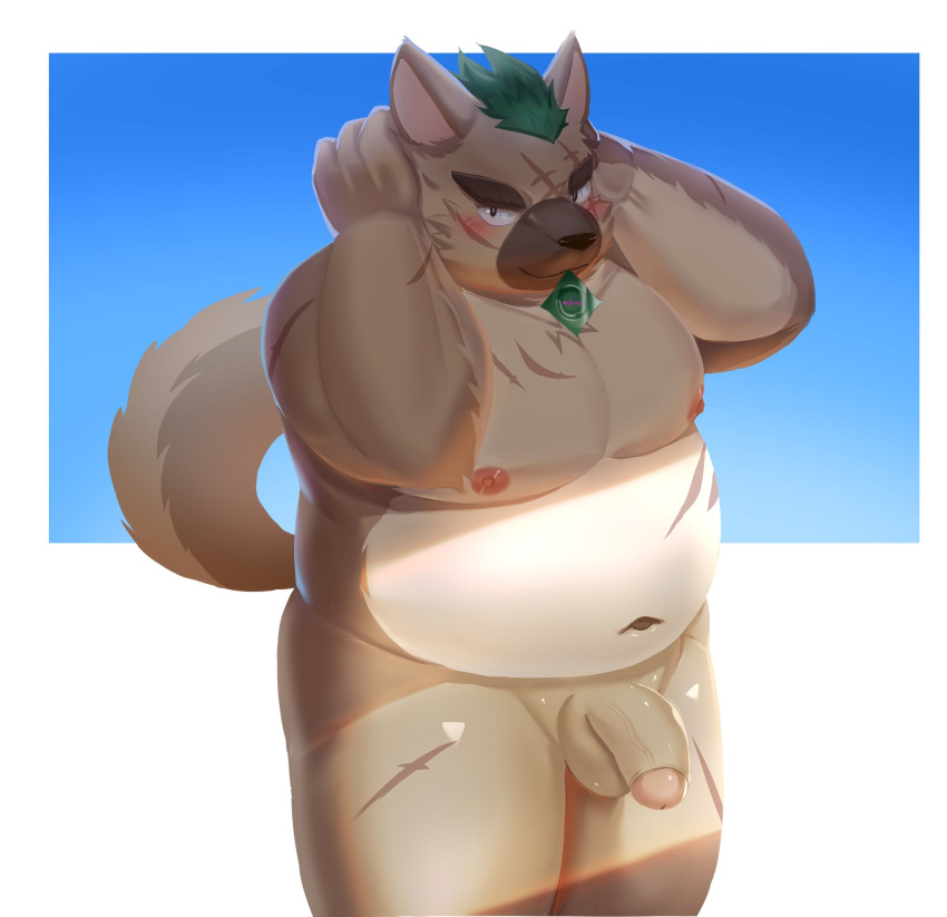 2022 aipangpangdeyua anthro balls belly big_belly blush brown_body canid canine canis condom condom_in_mouth domestic_dog flaccid genitals hi_res humanoid_genitalia humanoid_hands humanoid_penis kemono lifewonders male mammal moobs navel nipples overweight overweight_male penis scar sexual_barrier_device solo tokyo_afterschool_summoners video_games yasuyori