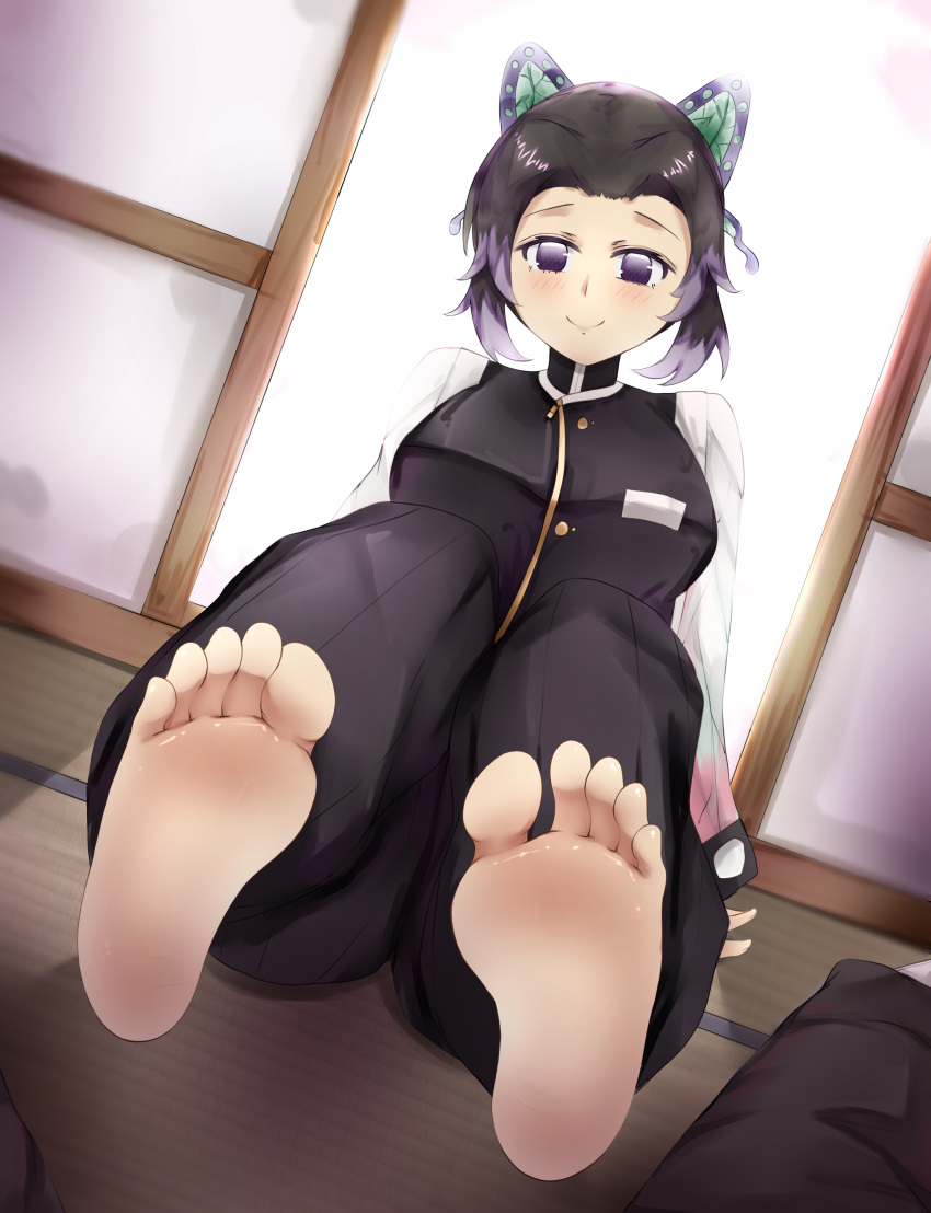 barefoot butterfly_hair_ornament clothing dark_hair demon_slayer ethan_ppj_(artist) feet female female_only foot_fetish foot_focus fully_clothed haori kimetsu_no_yaiba kochou_shinobu looking_at_viewer purple_eyes sitting smile soles solo tatami