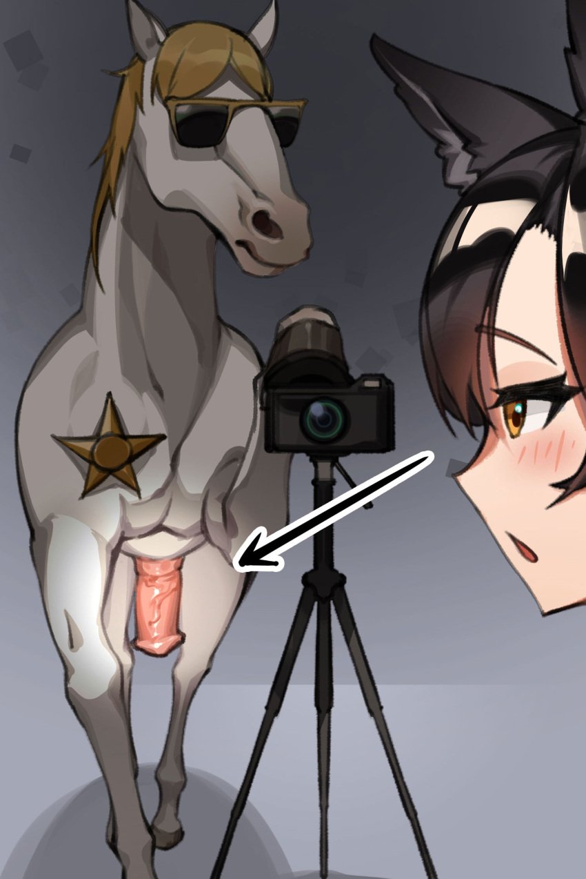 animal_ears animal_genitalia animal_penis atago_(azur_lane) azur_lane badge blush camera dark_hair dog_ears equine equine_penis female horse horse_penis horsecock images_that_go_hard imminent_bestiality imminent_sex looking_at_penis open_mouth orange_eyes penis powergene powzin sheriff_badge sunglasses tripod