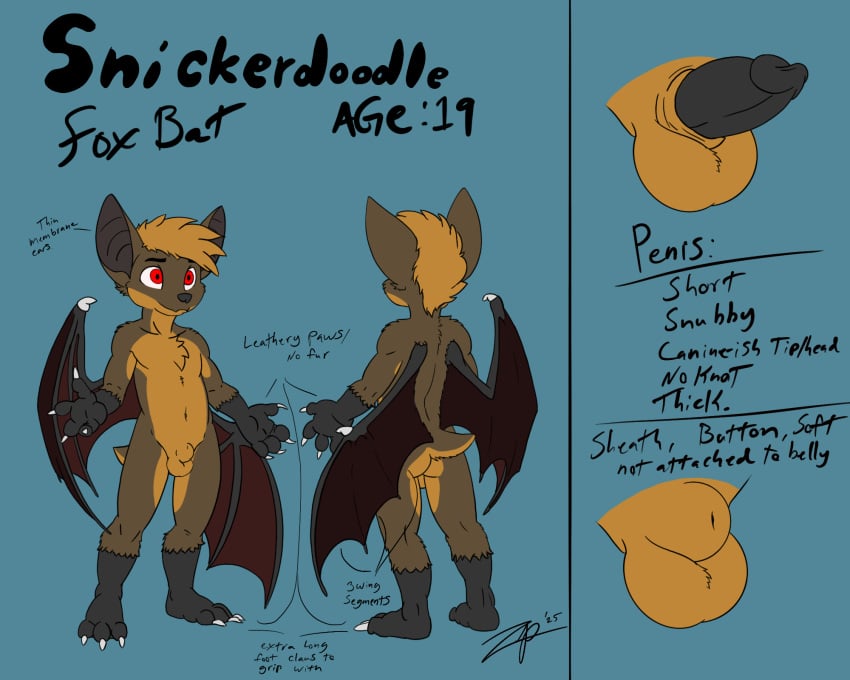 5:4 animal_genitalia anthro backsack balls bat big_ears brown_body brown_fur canid canine english_description english_text erection fox front_view fully_sheathed fur genitals hi_res hybrid male male_only mammal model_sheet nude penis rear_view red_eyes red_wings sheath text wings zephyrpanthur