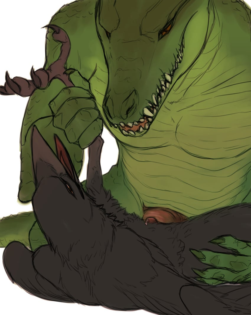 4:5 aarakocra_(dnd) anthro anthro_on_anthro avian avian_feet bird black_body black_feathers cloacal cloacal_penetration cloacal_penis corvid corvus_(genus) crocodile crocodilian crow dungeons_and_dragons duo feathers from_front_position green_body green_scales hasbro hi_res kleek lizardfolk_(dnd) lizardman lying male male/male missionary_position on_back oscine passerine penetration peregr1ne reptile scales scalie sex simple_background size_difference smaller_penetrated spread_legs spreading white_background wings wizards_of_the_coast