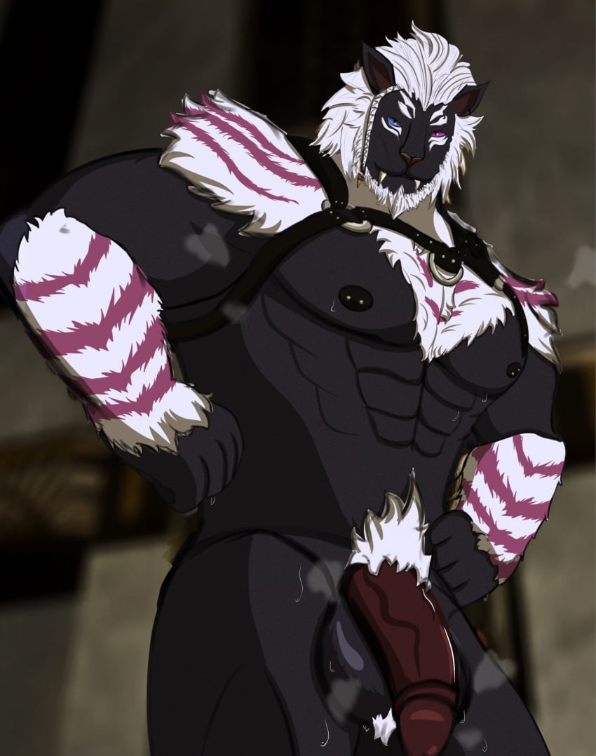 anthro balls big_penis bodily_fluids bulge clothing felid final_fantasy final_fantasy_xiv genitals harness hi_res hrothgar huge_cock male mammal muscular muscular_anthro muscular_male musk nipples penis sniffing sniffing_clothes square_enix sweat sweaty_balls sweaty_genitalia underwear underwear_sniffing