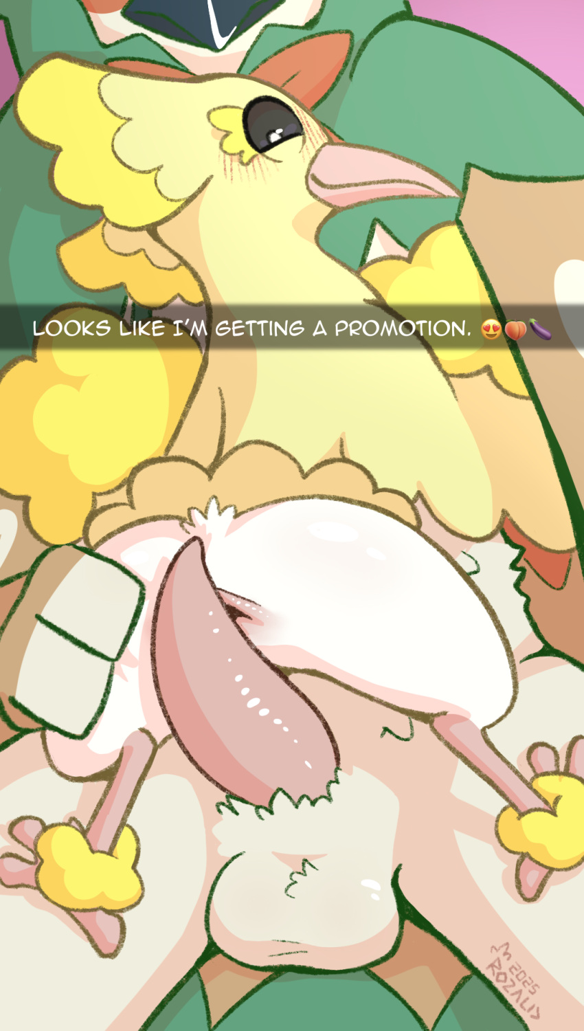 Britney (Oricorio) Rule 34 Image