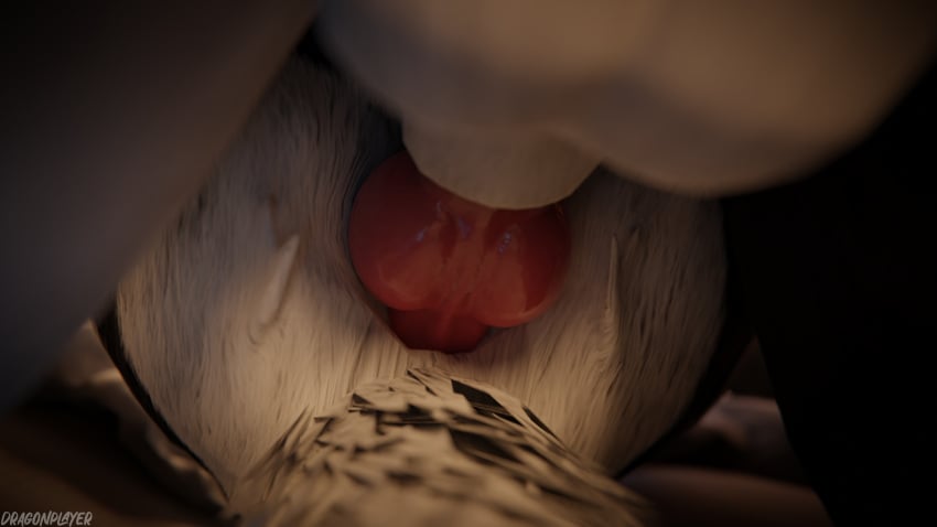 16:9 3d_(artwork) 4k absurd_res anal anal_sex animal_genitalia animal_penis anthro anthro_on_anthro anthro_penetrated anthro_penetrating anthro_penetrating_anthro arkiteschkiy ass bed bedroom biped black_body black_fur blender_(software) blender_cycles canid canine claws close-up depth_of_field digital_media_(artwork) dominant dominant_male dragonplayer duo eyewear fox from_front_position fur furniture genitals glasses grey_body grey_fur hi_res inside kneeling kneeling_on_bed kneeling_position kneeling_sex knot lying lying_on_bed male male/male male_penetrated male_penetrating male_penetrating_anthro male_penetrating_male mammal missionary_position morowolf multicolored_body on_back on_bed open_mouth penetration penile penile_penetration penis penis_in_ass pink_penis reflection rexouium sex slim slim_anthro slim_male slim_sub submissive submissive_male tail white_body white_fur widescreen