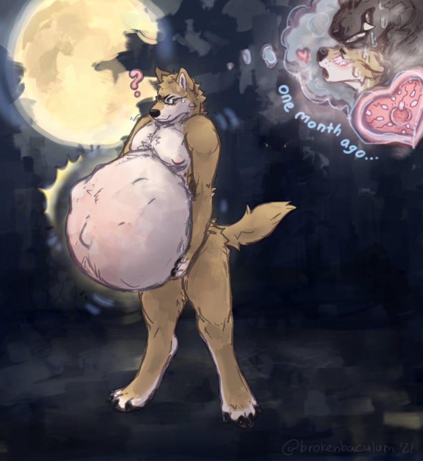 anthro belly big_belly brokenbaculum canid canine canis digitigrade dingo eyewear fetal_movement glasses hi_res hyper hyper_pregnancy impregnation internal male male_pregnancy mammal nude ovum pregnant pregnant_male server_dingo solo sperm_cell standing thought_bubble unborn_kicking were werecanid werecanine werewolf