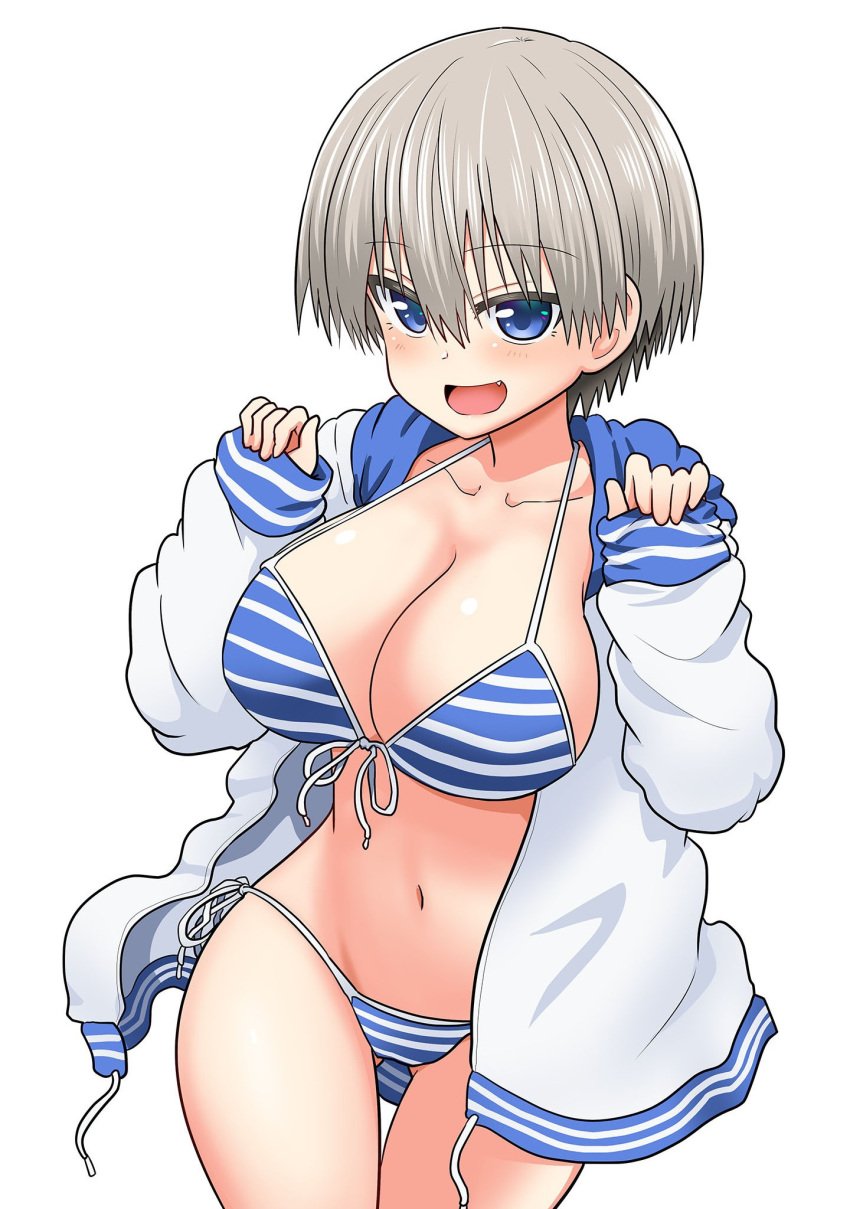 1girls big_breasts bikini blue_eyes cleavage cute_fang female female_only fit_female grey_hair hourglass_figure human large_breasts light-skinned_female looking_at_viewer official_art outerwear short_hair side-tie_bikini slim_waist solo striped_bikini stripes sweatshirt sweatshirt_and_bikini swimsuit swimwear take_(shokumu-taiman) thick_thighs uzaki-chan_wa_asobitai! uzaki_hana very_short_hair wide_hips