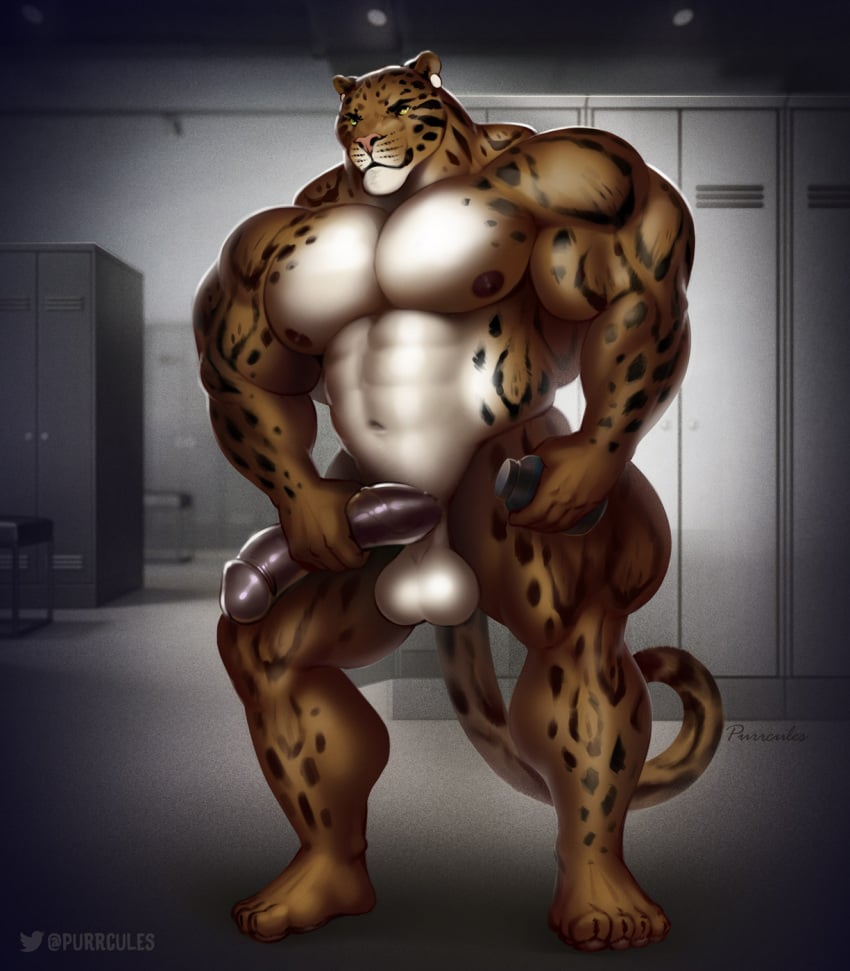 4_toes 5_fingers abs anthro areola balls benji_(character) biceps big_balls big_muscles big_penis biped clouded_leopard digital_media_(artwork) ear_piercing feet felid fingers genitals hi_res holding_object huge_cock huge_muscles huge_thighs humanoid_genitalia humanoid_penis inside locker locker_room mainlion male mammal muscular muscular_anthro muscular_male muscular_thighs navel nipples nude pantherine pecs penis penis_grab piercing pinup pose quads roidgut smile solo solo_male standing thick_thighs toes vein veiny_penis yellow_eyes