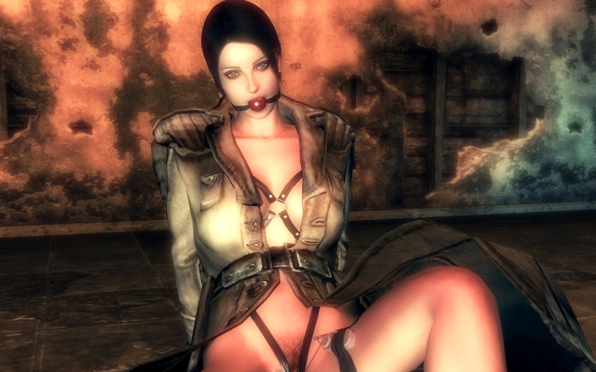 1girls 3d bethesda_softworks breasts fallout fallout_3 female female_only human pubic_hair