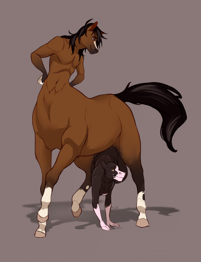 absurd_res body_horror centaur conjoined duo equid equid_taur equine female fusion hi_res horse humanoid_taur male male/female mammal mammal_taur merging ouka penis penis_transformation taur transformation