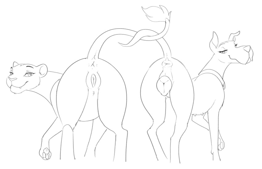 2022 absurd_res anatomically_correct anatomically_correct_anus anatomically_correct_genitalia anatomically_correct_pussy animal_genitalia animal_pussy anus ass bedroom_eyes canid canine canine_pussy canis digital_drawing_(artwork) digital_media_(artwork) disney domestic_dog duo entwined_tails eyebrows eyelashes felid feline feline_pussy felis female feral genitals great_dane halbean hanna-barbera hi_res lion looking_at_viewer looking_back looking_back_at_viewer mammal mastiff molosser monochrome nala narrowed_eyes pantherine plump_labia presenting presenting_anus presenting_hindquarters presenting_pussy pussy raised_leg raised_tail scooby-dee scooby-doo seductive simple_background sketch tail_coil the_lion_king white_background