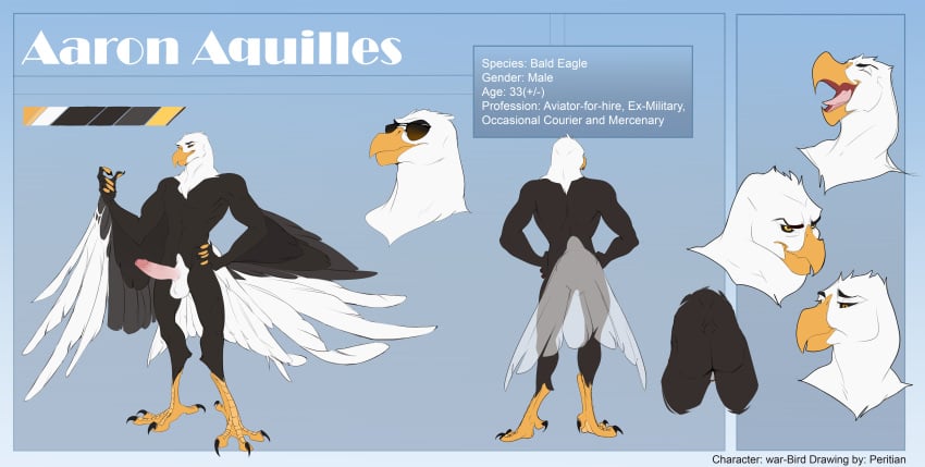 aaron_(war-bird) absurd_res accipitrid accipitriform anthro ass avian bald_eagle balls big_balls big_butt big_penis bird cocky eagle erection feathers genitals hi_res huge_balls huge_cock humanoid_genitalia male manly model_sheet muscular muscular_male penis peritian sea_eagle smile solo tail_feathers talon_hands talons war-bird wings