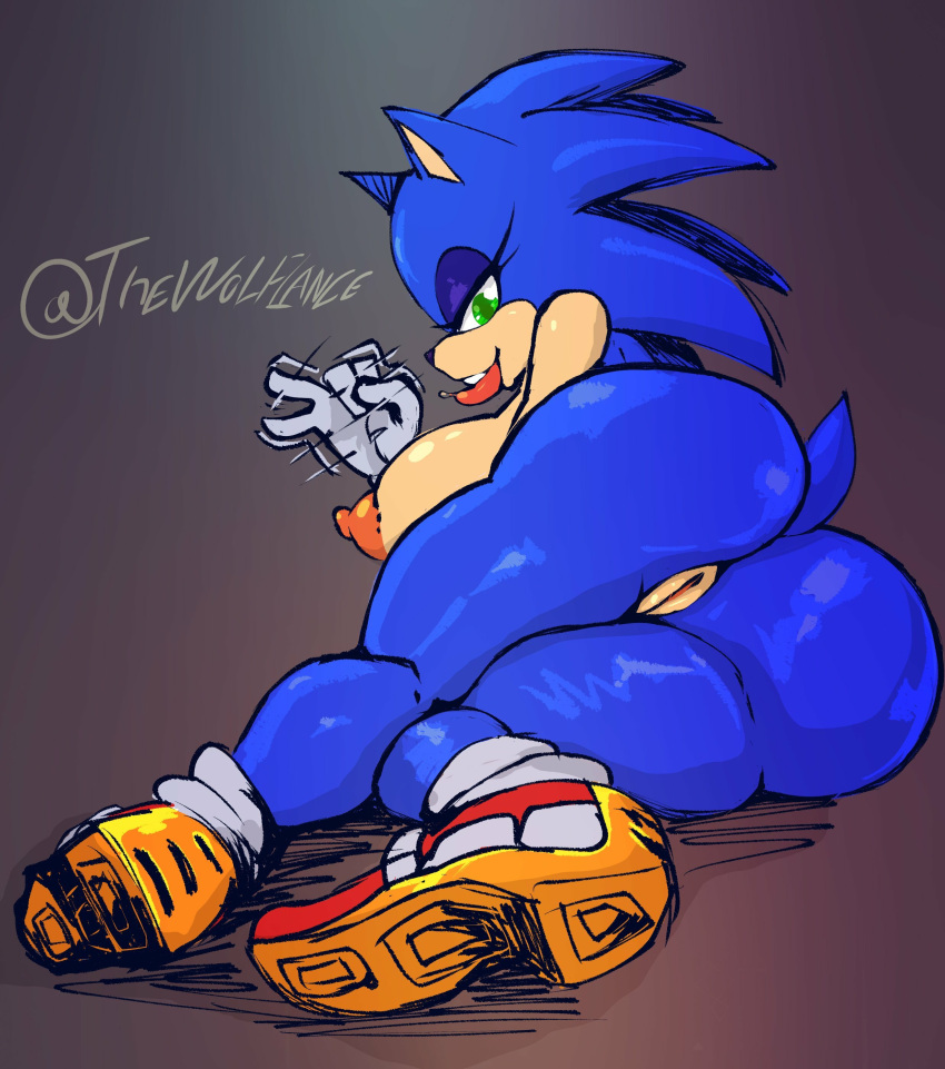 absurd_res ass big_ass big_breasts big_butt blue_body blue_fur breasts eulipotyphlan exposed_torso female female_only footwear fur genitals handwear hedgehog hi_res lying mammal mtf_crossgender on_side pussy rule_63 sega solo_female sonic_(series) sonic_the_hedgehog sonic_the_hedgehog_(series) sonique_the_hedgehog wolflance