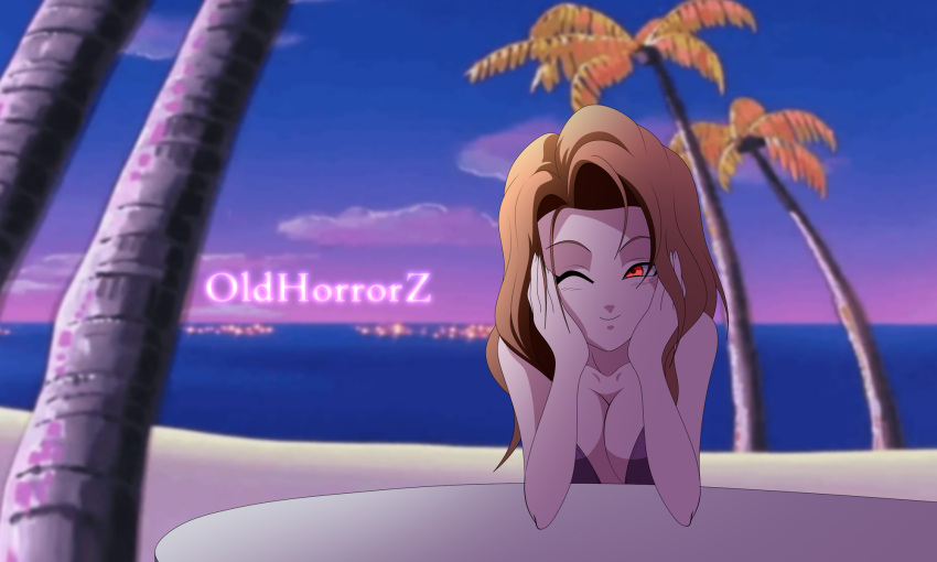 beach bikini brown_hair dragon_ball dragon_ball_gt dragon_ball_super dragon_ball_z earrings oldhorrorz paresu purple_bikini red_eyes sole_female sunset