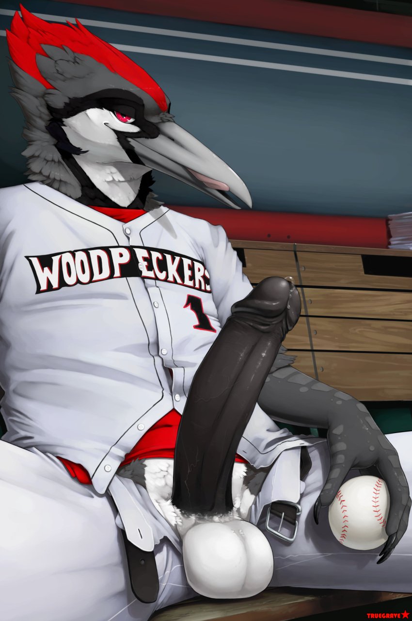 anthro avian ball balls baseball_(ball) baseball_uniform bedroom_eyes big_penis bird black_body black_feathers black_penis bodily_fluids bottomwear clothed clothing english_text erection feathers genital_fluids genitals grey_body grey_feathers hi_res humanoid_genitalia humanoid_penis looking_at_viewer male male_only multicolored_body multicolored_feathers narrowed_eyes open_bottomwear open_clothing open_pants pants penis picid precum presenting presenting_penis red_body red_eyes red_feathers seductive selfie sitting solo sportswear text tongue truegrave9 uniform white_body white_feathers woodpecker