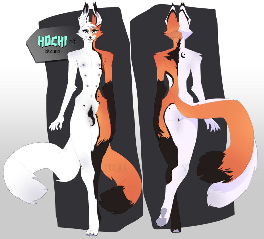 2021 4_toes 5_fingers anthro canid canine digital_media_(artwork) feet fingers fox fur mammal model_sheet nipples orange_body orange_fur smooshkin solo standing toes white_body white_fur