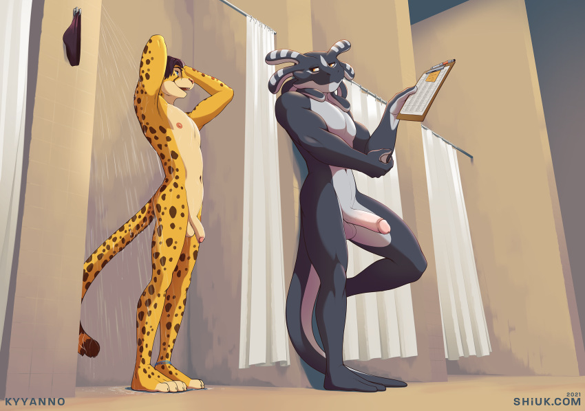 amphibian anthro balls cheetah clipboard duo felid feline genitals hi_res humanoid_genitalia humanoid_penis kyyanno male mammal penis salamander_(amphibian) shiuk shiuk_(character) shower size_difference