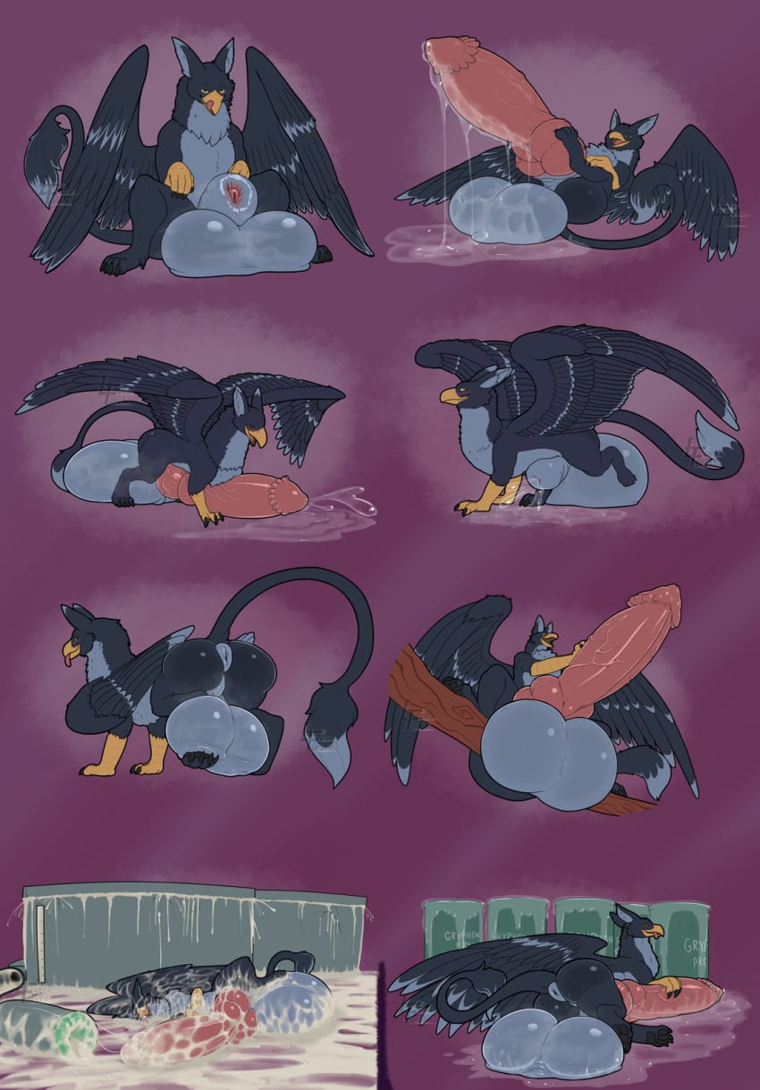 Animal Genitalia Rule 34 Image