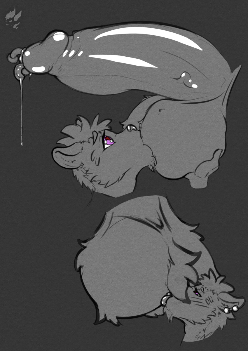 anthro ball_tuft balls big_balls big_penis bodily_fluids cum cum_leaking drakk_art ear_piercing ear_ring erection fluffy genital_fluids genitals hi_res huge_balls huge_cock humanoid_genitalia humanoid_penis hyper hyper_balls hyper_genitalia hyper_penis leaking lutrine male mammal mustelid oral penis piercing riukko tuft