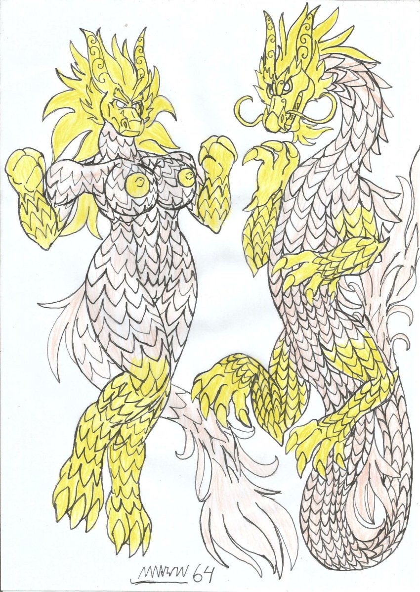 breast celesta dragon dragones eastern_dragon heartstone ref_sheet reference_image scales scalie vagina