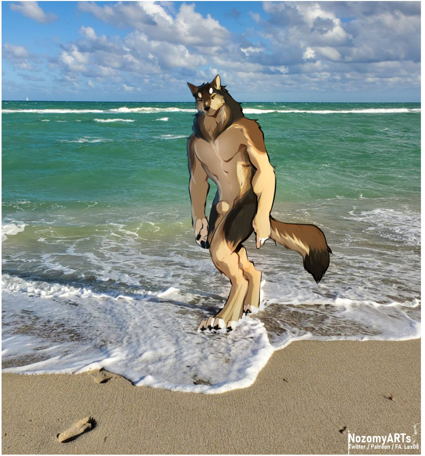 2021 animal_genitalia anthro beach black_body black_fur brown_body brown_fur canid canine canis casual_nudity digitigrade fully_sheathed fur genitals hi_res male male_only mammal multicolored_body multicolored_fur nozomyarts pawpads paws photo_background seaside sheath solo tan_body tan_fur wagwolftail wolf yellow_eyes