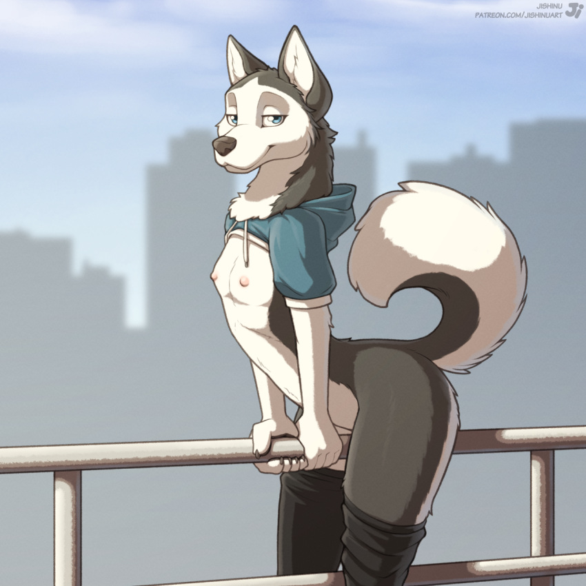 2021 5_fingers anthro black_nose bottomless breasts canid canine canis casual casual_masturbation city city_background claws clothed clothing day domestic_dog female finger_claws fingers flat_chested footwear fur grey_body grey_fur hana_(jishinu) hi_res hooded_shrug hoodie husky jishinu leaning leaning_forward looking_at_viewer mammal nipples nordic_sled_dog outside public public_masturbation shrug_(clothing) small_breasts socks solo spitz straddling topwear white_body white_fur