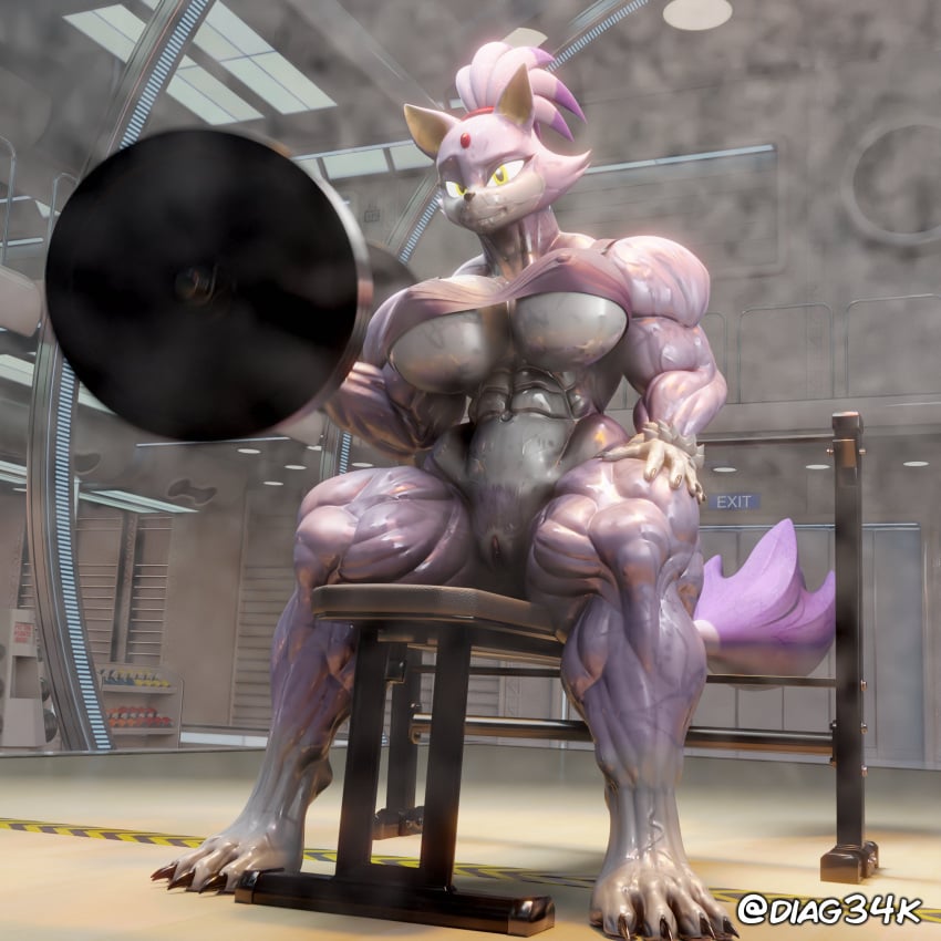 3d abs alternate_muscle_size blaze_the_cat bottomless diag34k gym muscular_female sonic_(series) steaming_body sweat underboob weightlifting