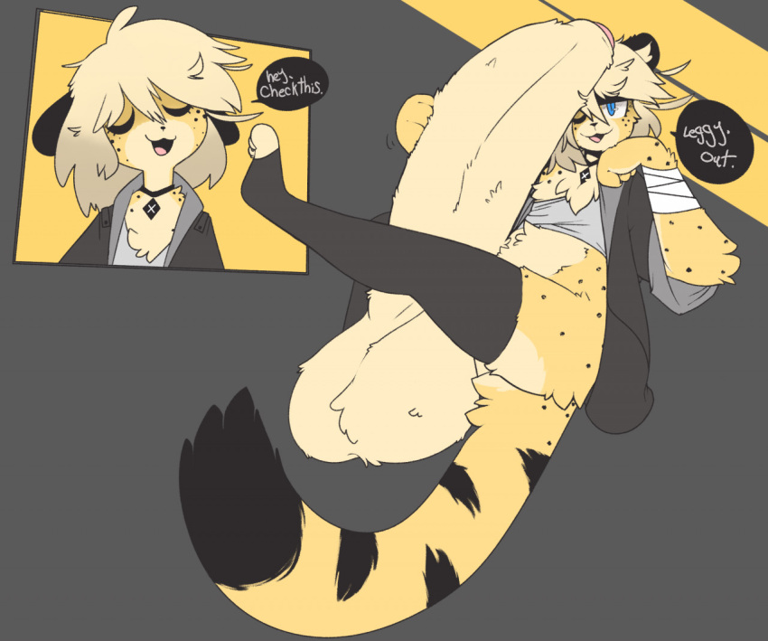 1boy anthro black_choker blonde_hair blue_eyes caeleste cheetah choker clothing femboy fur huge_balls huge_cock male male_anthro male_only niles_(caeleste) solo solo_male spotted_fur tail yellow_fur