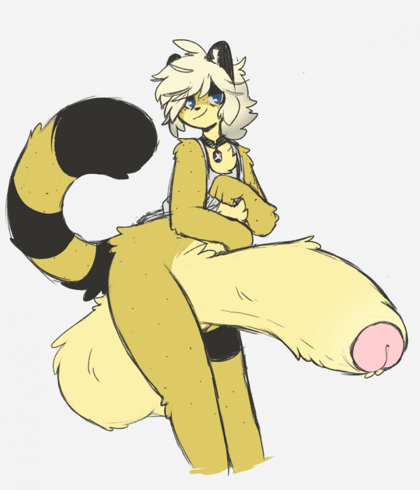 1boy animal_ears anthro balls blonde_hair blue_eyes caeleste cheetah choker femboy fur hyper hyper_balls hyper_penis male male_anthro male_only niles_(caeleste) penis solo solo_male tail tank_top thick_thighs topwear white_tank_top yellow_fur