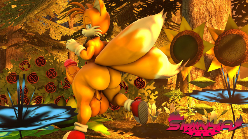 3d 3d_(artwork) big_ass big_balls big_butt big_penis bubble_butt erection femboy feminine huge_ass huge_balls huge_cock looking_at_viewer seductive shinyagaia sonic_(series) sonic_the_hedgehog_(series) tails