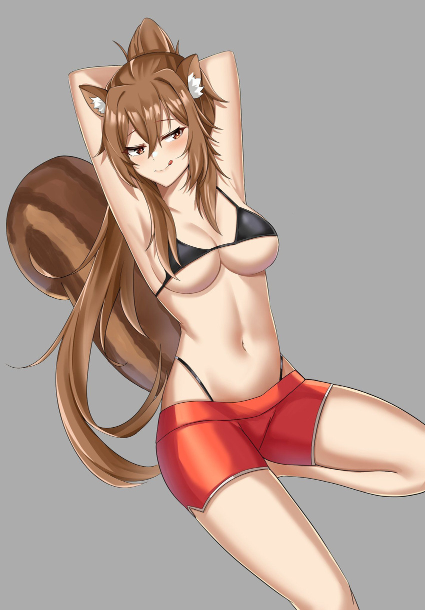 :q animal_ear_fluff animal_ears armpits arms_behind_head arms_up bare_shoulders bikini bikini_under_clothes black_bikini breasts brown_eyes brown_hair cleavage closed_mouth commission female female grey_background halterneck highleg highleg_bikini highres long_hair looking_at_viewer medium_breasts naughty_face navel original ponytail red_shorts second-party_source short_shorts shorts simple_background smile solo squirrel_ears squirrel_girl squirrel_tail stomach string_bikini swimsuit tail thighs tongue tongue_out twomoon very_long_hair