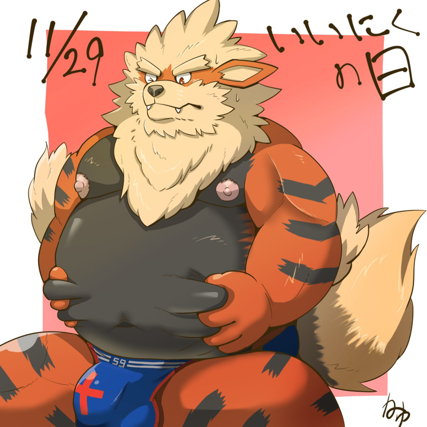 2021 anthro anthrofied arcanine balls_outline belly black_body bulge clothing cute_fangs genital_outline hi_res humanoid_hands japanese_text kamiyu kemono male male_only moobs nintendo nipples orange_body overweight overweight_male penis_outline pokemon pokemon_(species) simple_background sitting solo text underwear video_games