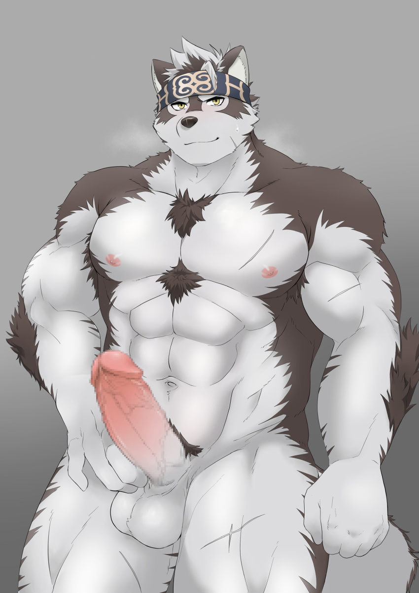 1boy abs ainu_clothes animal_ears bara breath chest_hair come_hither completely_nude erection furry furry_male grey_fur grey_hair headband highres horkeukamui ioenami large_pectorals large_penis looking_at_viewer male_focus male_only male_pubic_hair muscular muscular_male navel nipples nude pectorals penis presenting pubic_hair scar scar_on_arm scar_on_chest scar_on_leg seductive_smile short_hair silver_hair smile solo stomach tail testicles thick_thighs thighs tokyo_afterschool_summoners two-tone_fur uncensored veins veiny_penis white_fur wolf_boy wolf_ears wolf_tail yellow_eyes