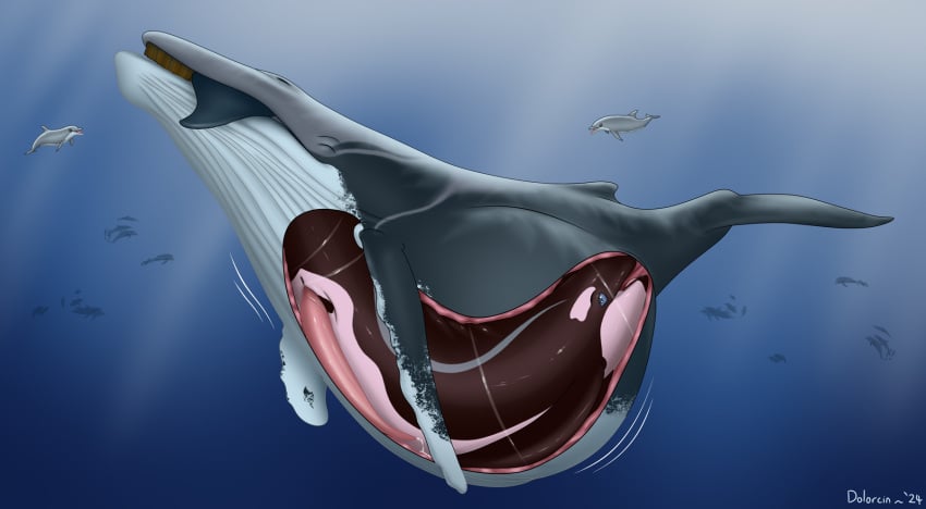 2024 almost_fully_inside alternate_version_at_source ambiguous_feral ambiguous_gender ambiguous_pred animal_genitalia animal_penis anus baleen_whale belly big_belly black_body blue_sclera bodily_fluids bottlenose_dolphin cetacean cetacean_genitalia cetacean_penis dolorcin dolphin duo_focus erection feral feral_only feral_pred feral_prey genital_fluids genitals grey_body group head_first hi_res huge_belly humpback_whale hybrid internal male male_feral male_prey mammal marine markings motion_lines oceanic_dolphin oral_vore orca palequin penis soft_vore tapering_penis toothed_whale underwater vore water whale white_body x-ray_view year