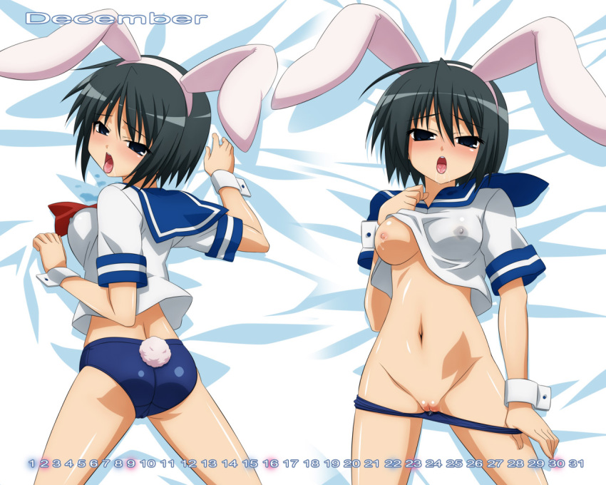 breasts buruma buruma_pull dakimakura_design erect_nipples female kore_ga_watashi_no_goshujin-sama pussy sawatari_izumi school_uniform serafuku sugimura_tomokazu uncensored