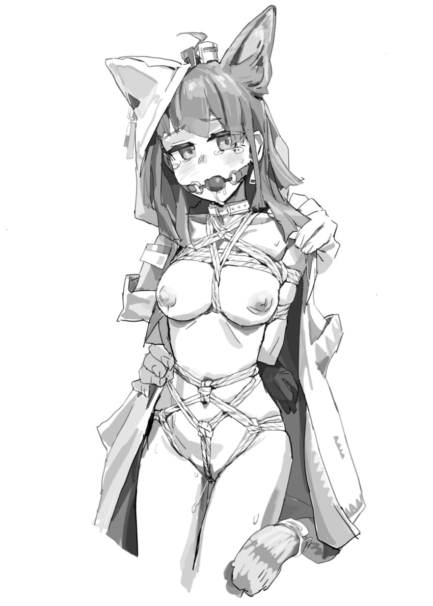 Post 17780629