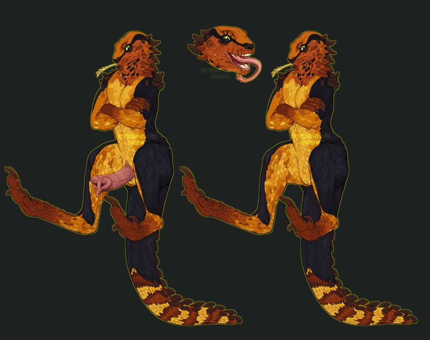 Absurd Res Rule 34 Image