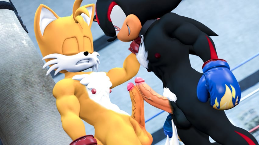 16:9 3d balls big_nipples boxing boxing_gloves clothing digital_media_(artwork) duo erection frottage genitals gym handwear hi_res loafsfm male male/male muscular muscular_male nipples penis punching_bag sega sex shadow_the_hedgehog sonic_(series) sport tails widescreen